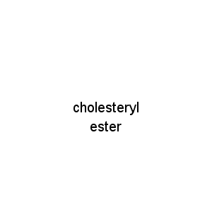 cholesteryl ester